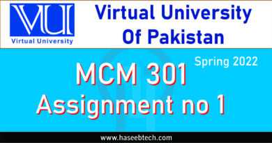 MCM 301 Assignment