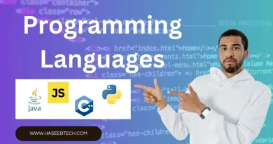 programming languages